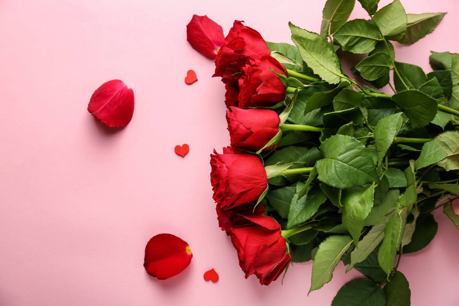 nombre de roses signification