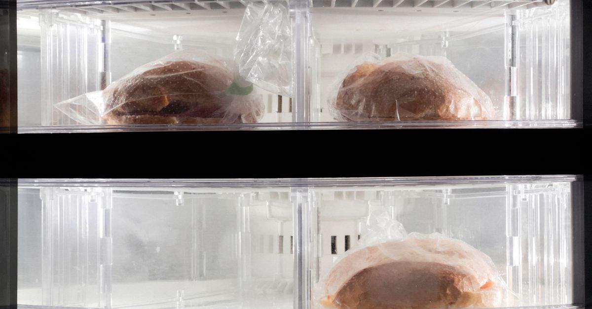 Boîtes hermétiques et sachets de congélation remplis d'aliments rangés dans un congélateur