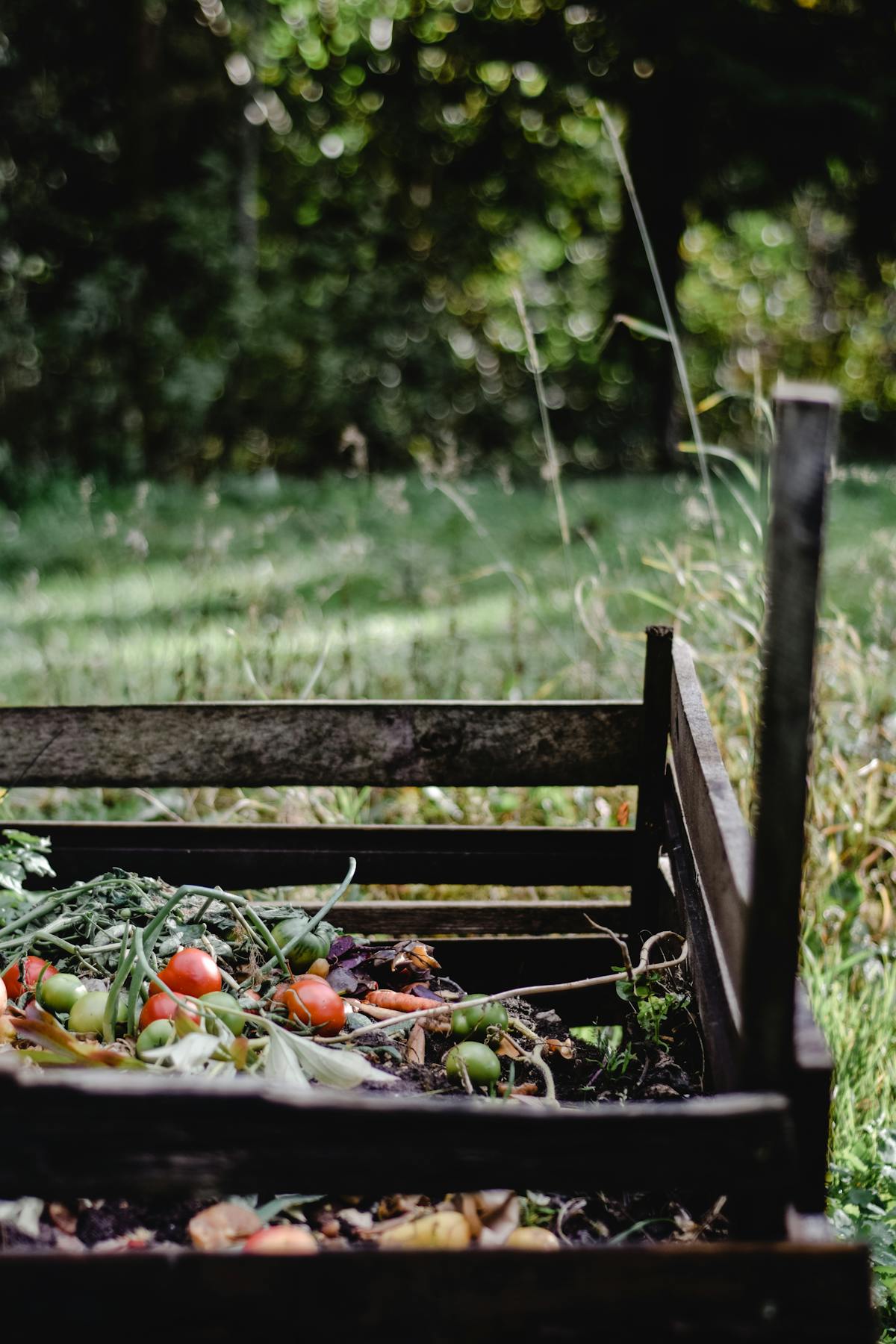 Bac à compost dans un jardin avec déchets organiques